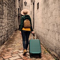 reseña navigator
